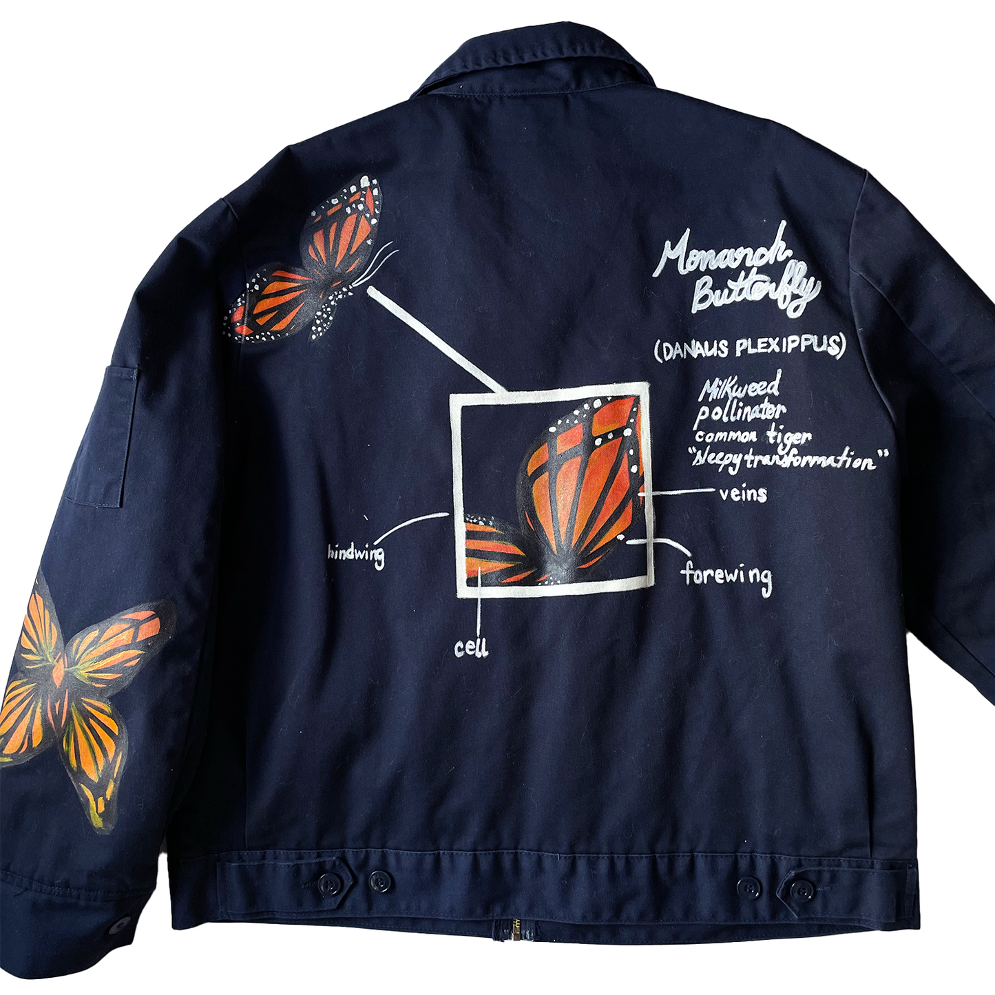 Navy Monarch, Butterfly Workwear Jacket - XL