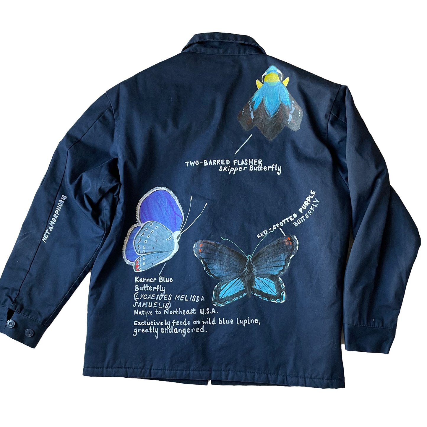 Karner Blue Butterfly, Workwear Jacket